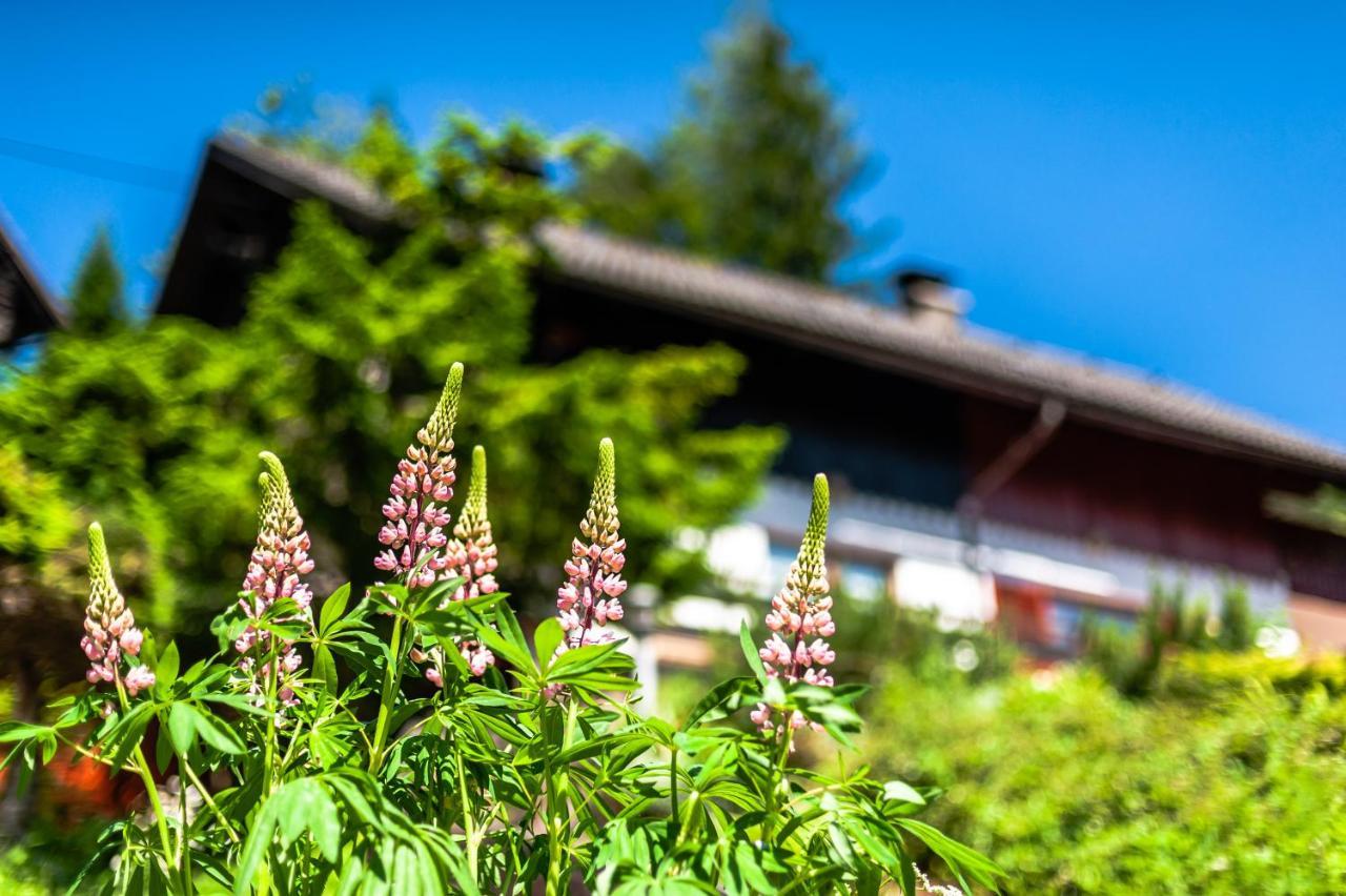 House Moose'T Getaway, Kranjska Gora Villa Luaran gambar