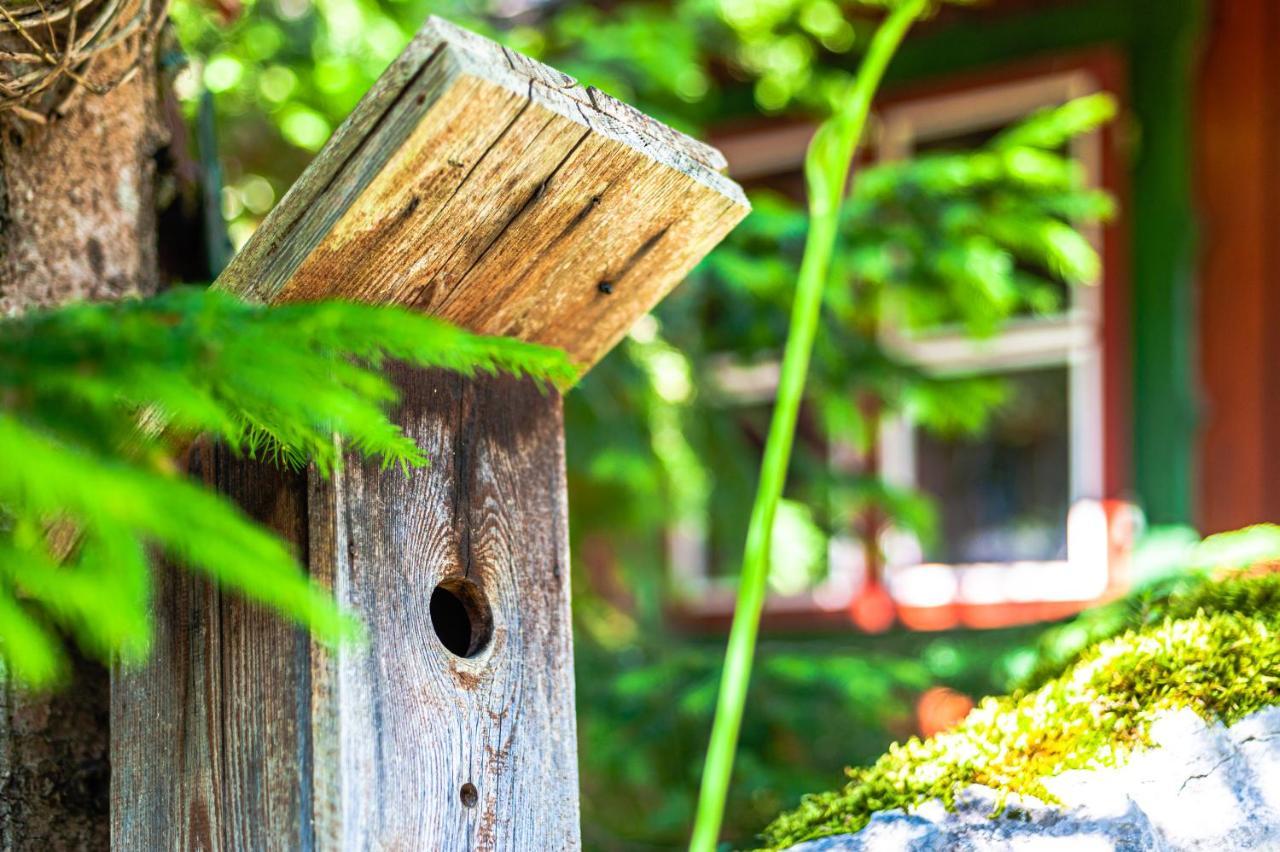 House Moose'T Getaway, Kranjska Gora Villa Luaran gambar